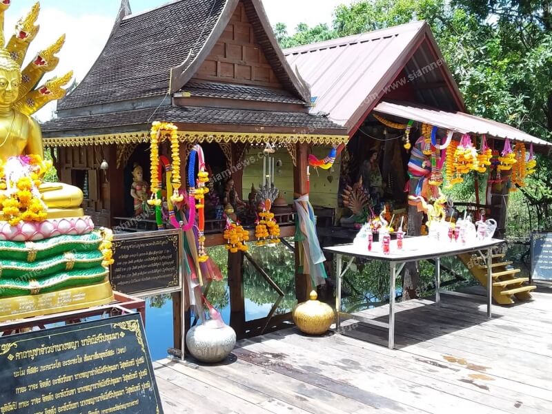 แห่ล้วงใหขอเลขเด็ด_1_ 2_65